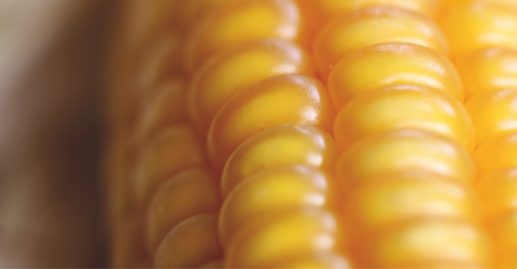 Mill Service From Plan to Plant Mill Service